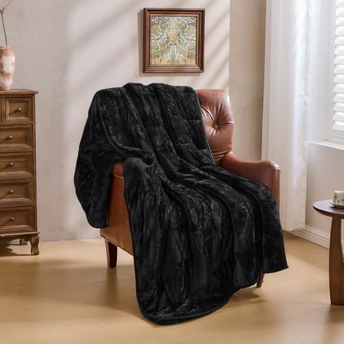 Ultra Soft Sherpa Weighted Blanket for Adults, 60"x80" 20lbs Heavy