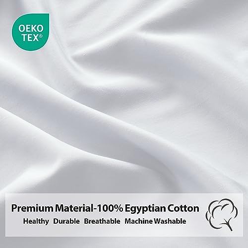 100% Egyptian Cotton Twin XL Size Fitted Sheet, 600 Thread Count