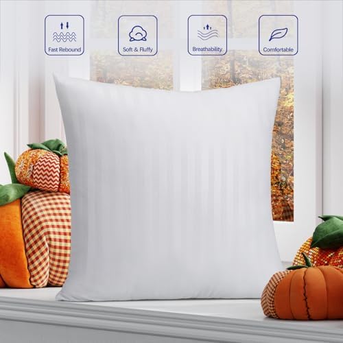 OKBA Set of 2 Throw Pillow Inserts, Hypoallergenic Soft & Firm
