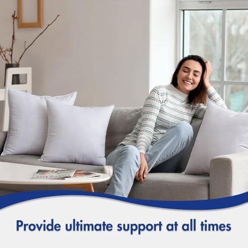 MIULEE 18x18 Pillow Inserts Pack of 2,Down Alternative Throw Pillows