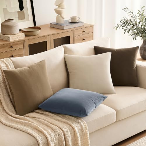 Throw Pillow Covers Set of 2 20x20 Inch Velvet Pillow Covers, Soft