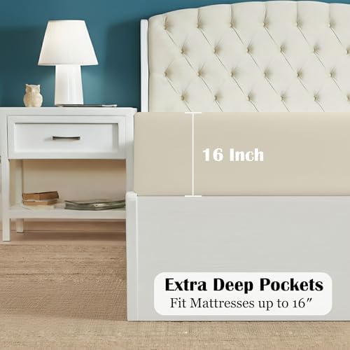 Egyptian Cotton Fitted Sheet Top Split King 16 Inch Deep - Ivory