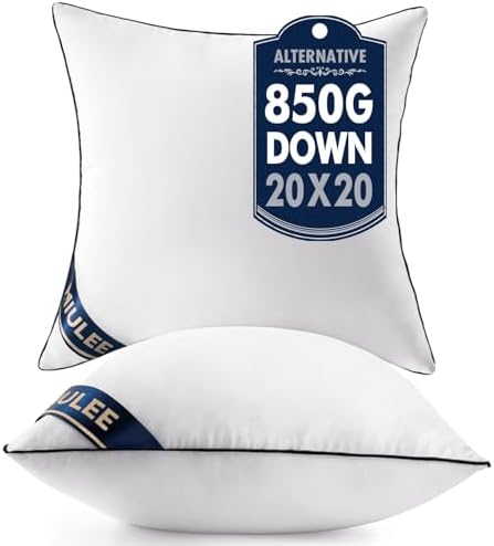 MIULEE 20x20 Pillow Inserts 2 Pack, Premium Down Alternative Throw