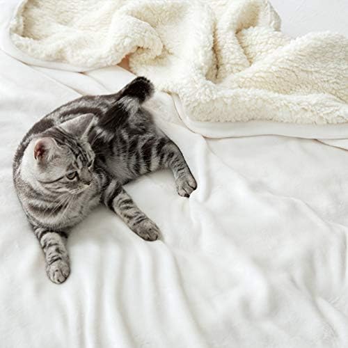 LBRO2M Sherpa Fleece Bed Blanket Super Soft Plush Warm Throw Queen