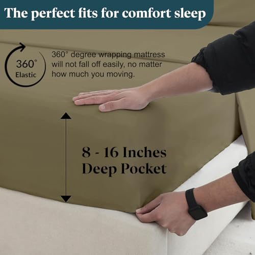 SKY BEDDINGS Twin XL Sheet Set, 100% Egyptian Cotton, Sateen, Taupe