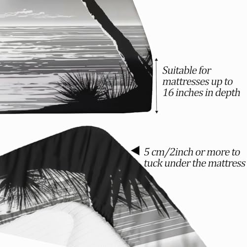 Fitted Sheet 3 Pieces Twin XL Size Sheets with Deep Pocket Fitted