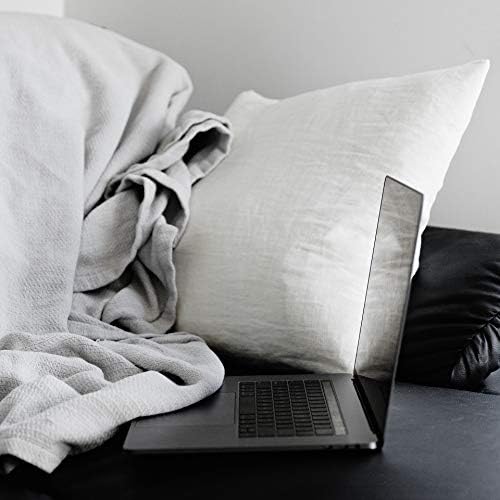 EDOW Throw Pillow Insert, Set of 2 Down Alternative Polyester Square