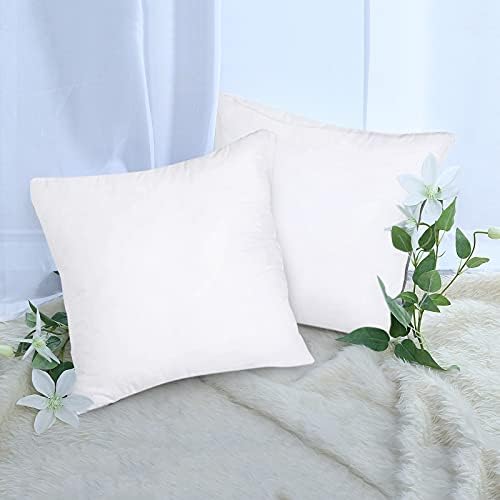 20X20 Pillow Inserts, 2 Pack Square Machine Washable Lightweight Throw