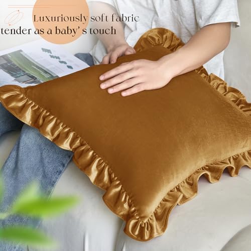KKJIAF Gold Velvet Throw Pillow Covers 20 x 20 Inch Set of 2 for Sofa