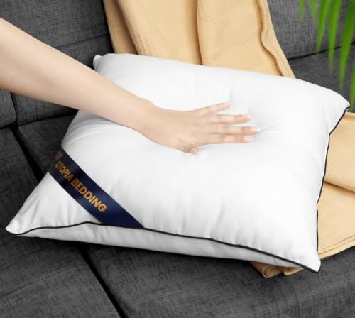 Decorative Throw Pillow Inserts 20x20, Kids Throw Pillows, 2-Pack