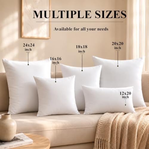 Ridhi White Throw Pillow Inserts, 20x20 Inch, Pack of 4, Down