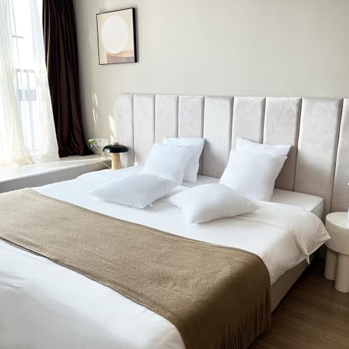 Obruosci Luxury Pillow Inserts, Pack of 4, 20 x 20 inches