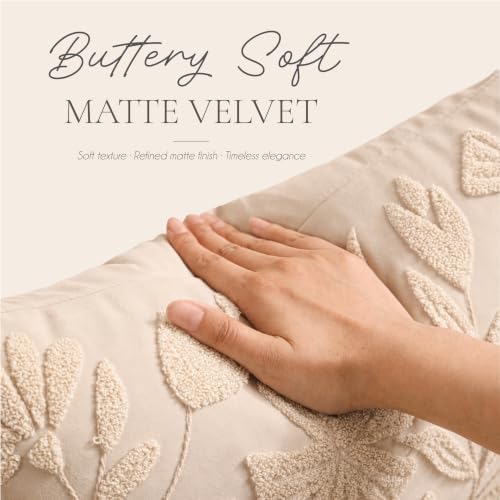 BlissBlush Decorative Throw Pillow Cover 20x20, Beige Neutral Velvet