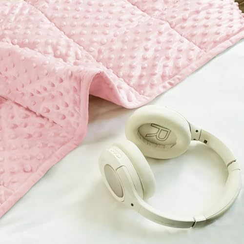 ALANSMA Reversible Weighted Blanket for All Season, Luxury Velvet