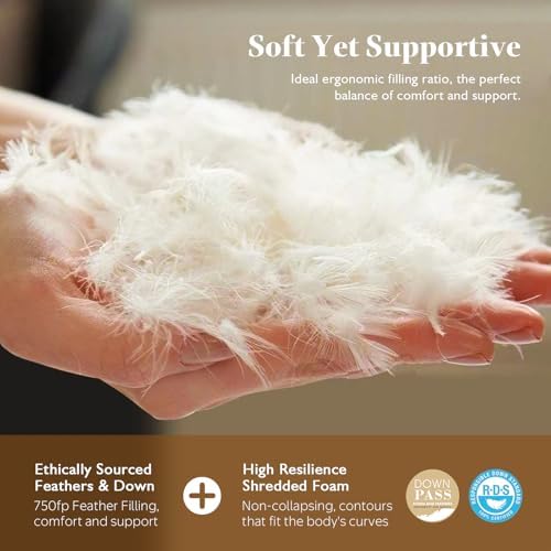 BPC 18x18 Down Feather Throw Pillow Inserts Set of 2, 100% Organic