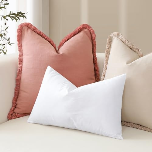 Artscope Synthetic Down Pillow Insert, 20x20 Throw Pillow Inserts Set