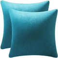 DEZENE Throw Pillow Covers 20x20 Turquoise: Pack of 2 Cozy Soft Velvet
