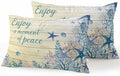 Outdoor Pillows Waterproof, Teal Blue Starfish Coastal Bedding Throw