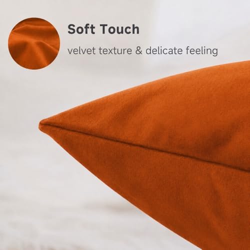 QUORGVES Burnt Orange Velvet Throw Pillow Covers 18x18 Inch Set of 2