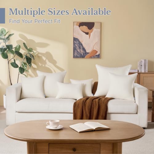 Leeden 20 x 20 Throw Pillow Inserts Set of 2 Pillow Forms for Sofa