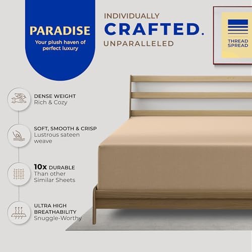 Thread Spread 100% Egyptian Cotton Queen Fitted Sheet Only - Luxury