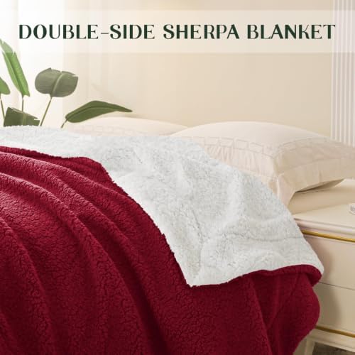 Exclusivo Mezcla Reversible Sherpa Fleece Blanket King Size, 90x104