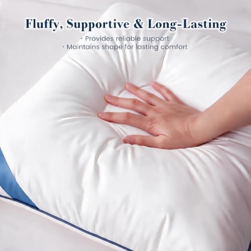 Atarashi 20 x 20 Outdoor Pillow Inserts(Set of 2) - Waterproof
