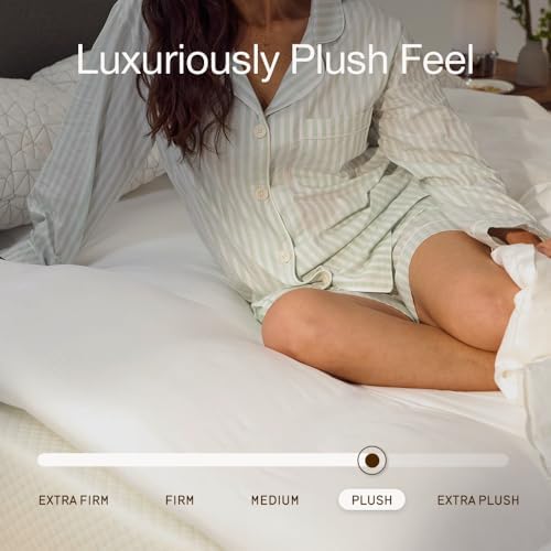 Coop Home Goods Essence Down Alternative Mattress Topper Queen, Plush