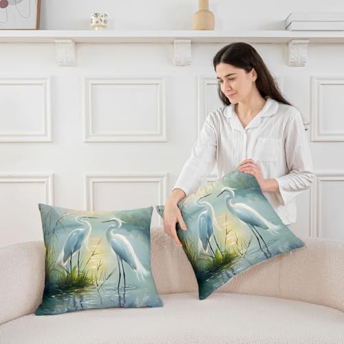 Erosebridal Two Herons Set of 2 Throw Pillow Cover 22x22 Watercolor