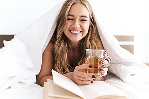 Elegant Comfort 2-Pack Luxury Flat Sheet Premium Hotel Quality Wrinkle