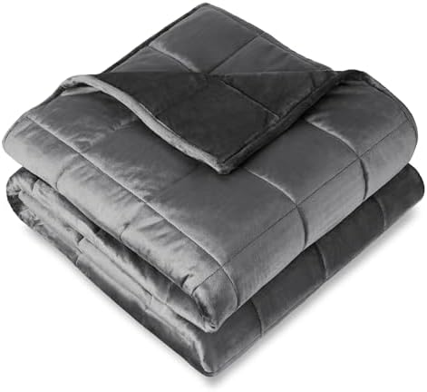 Bare Home Minky Fleece Weighted Blanket (Grey, 40"x60" 10lbs)