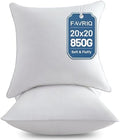 FAVRIQ 20 x 20 Pillow Inserts (Set of 2) - 20 Inch Square Interior
