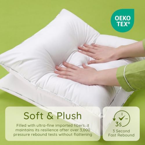 Ashler Hypoallergenic Throw Pillow Inserts, 18 x 18 Pillow Inserts Set