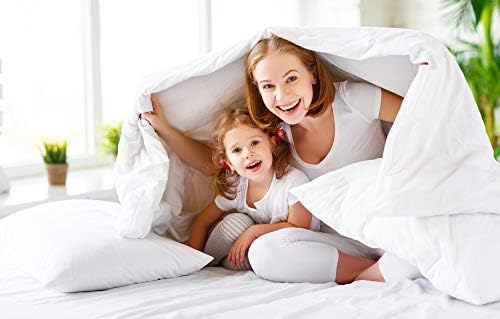 Elegant Comfort 1500 Thread Count Wrinkle & Fade Resistant Egyptian