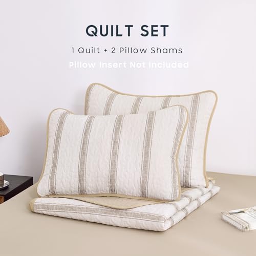 Wake In Cloud Striped Quilt Set, Taupe, King