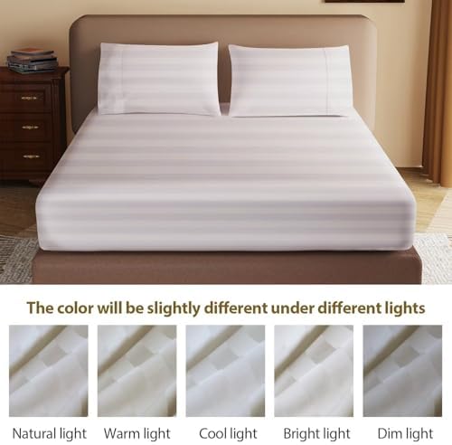2 Pack 600 Thread Count 100% Egyptian Cotton Fitted Sheet Only, Queen