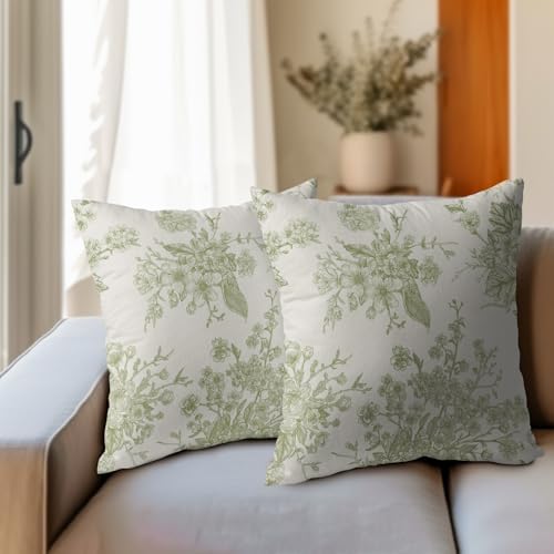 Sage Green Floral Throw Pillow Covers 22x22 Set of 2 Chinoiserie Line