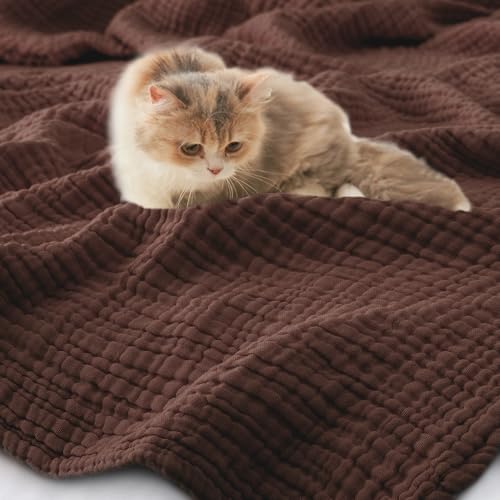 Carriediosa 100% Cotton Muslin Throw Blanket 90 x 90 Summer Gauze for