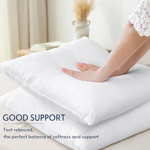 OTOSTAR Set of 4 Pillow Inserts 20x20 Inch, Decorative Square Throw