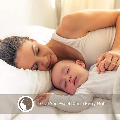Ivory Queen Flat Sheet Only, Soft 100% Cotton Top Sheets