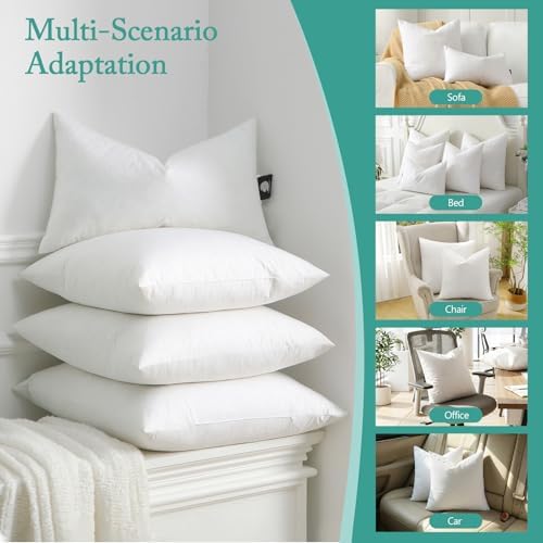 BPC Luxury Feather Down 20x20 Pillow Inserts Set of 2, Soft Fluffy