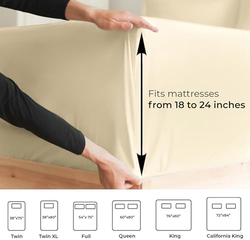 CGK Extra Deep Queen Single Fitted Sheet Only - Off White