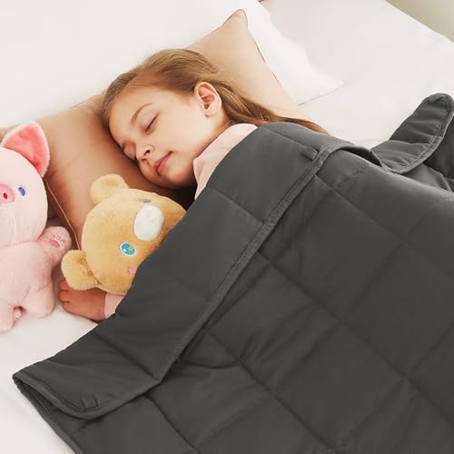 Weighted Blanket (10lbs, 40"x 60", Grey) Heavy Blanket for 90-100lbs