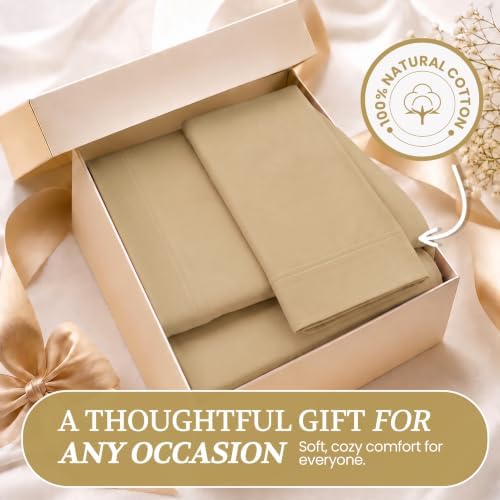 Twin XL Cotton Knit Jersey Sheet Set, 15" Deep Pocket, Taupe, 3pc