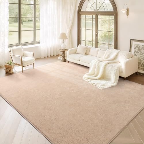 BENRON Soft Rugs for Living Room 6x9 Beige, Minimalist Area Rug for