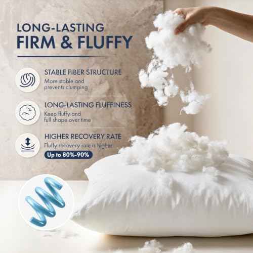 MIULEE 18x18 Throw Pillows Inserts 2 Pack, Decorative Pillows for