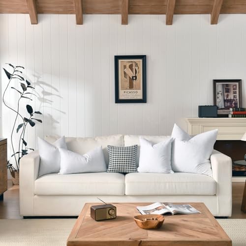basic home® Hotel-Style 20x20 Goose Feather Pillow Insert for Sofa &