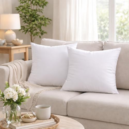 20 x 20 Throw Pillow Inserts, Set of 4 Hypoallergenic Square Form