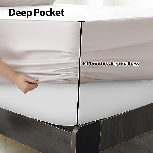 2-Pack Pure Cotton Queen Size Fitted Sheet, 600 Thread Count, Light