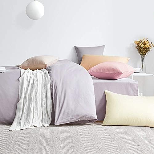 FLXXIE 2-Pack Microfiber King Pillow Cases, Envelope Closure, Light